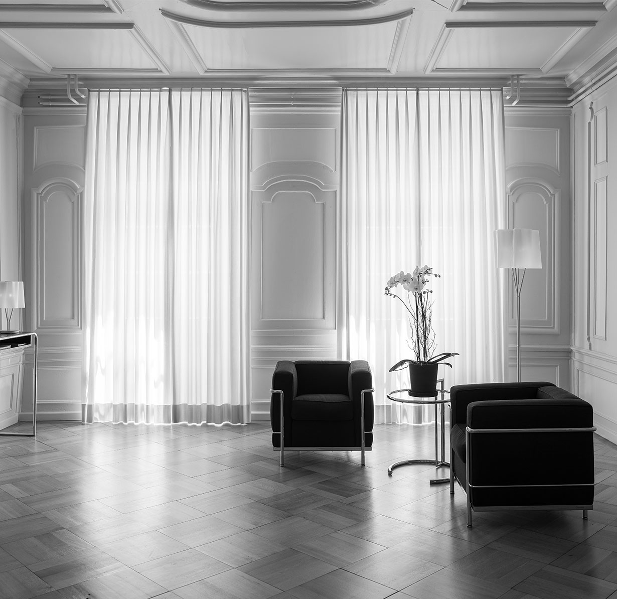 Bild Studio